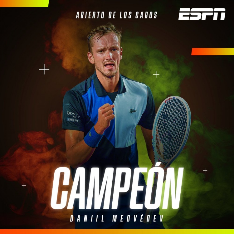 这种稳健的 这种稳健的